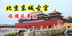 哦哦哦用你的大鸡吧戳我骚逼中国北京-东城古宫旅游风景区